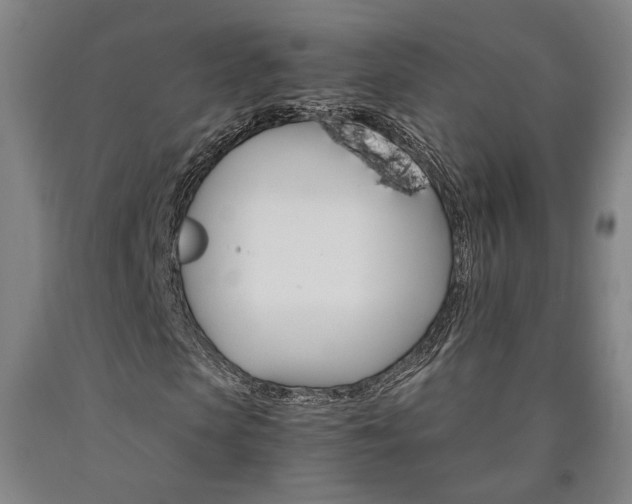 X0000090910913200707301430