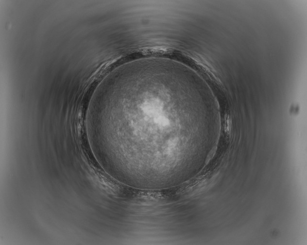 X0000090910915200707301430