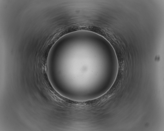 X0000090910916200707301430