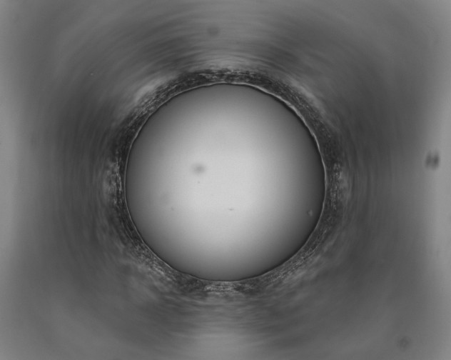 X0000090910918200707301430