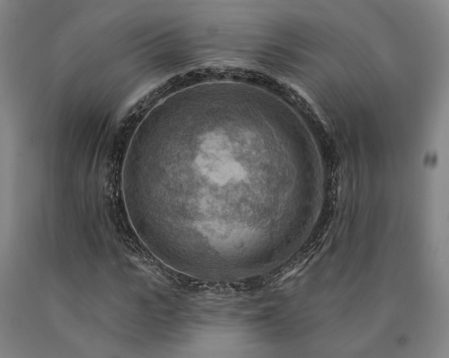 X0000090910919200707301430