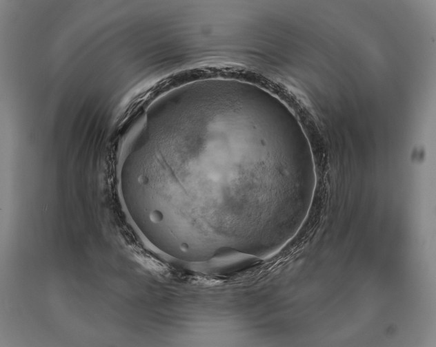 X0000090910920200707301430