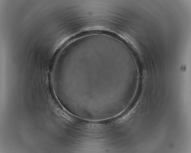 X0000090910921200707301431