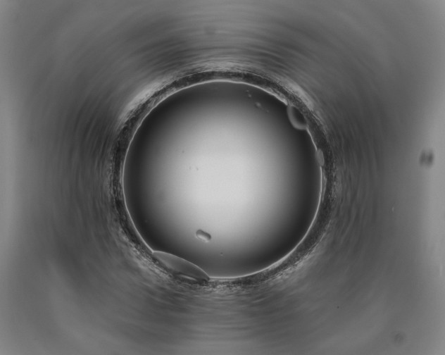 X0000090910922200707301431