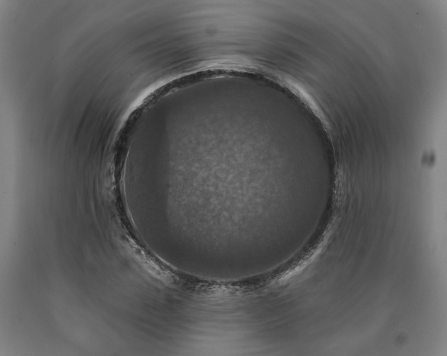 X0000090910923200707301431