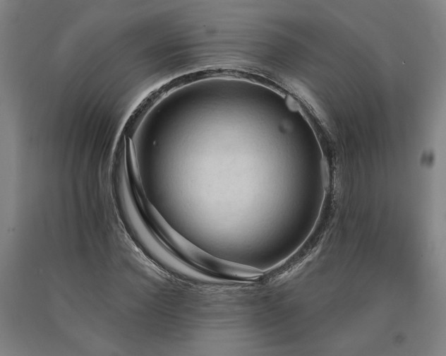 X0000090910924200707301431