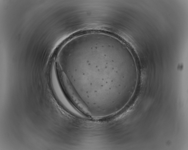 X0000090910925200707301431