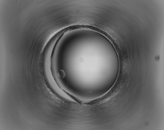 X0000090910926200707301431