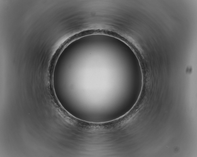 X0000090910927200707301431