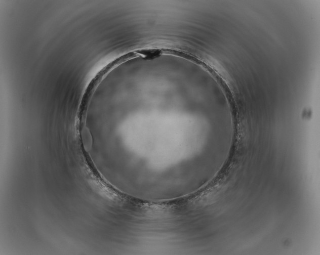 X0000090910928200707301431