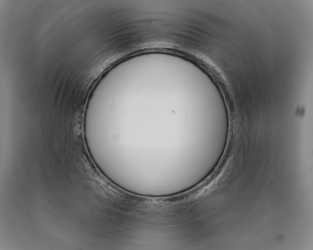 X0000090910929200707301431