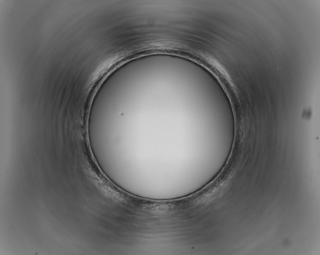 X0000090910930200707301431