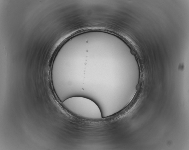 X0000090910933200707301431