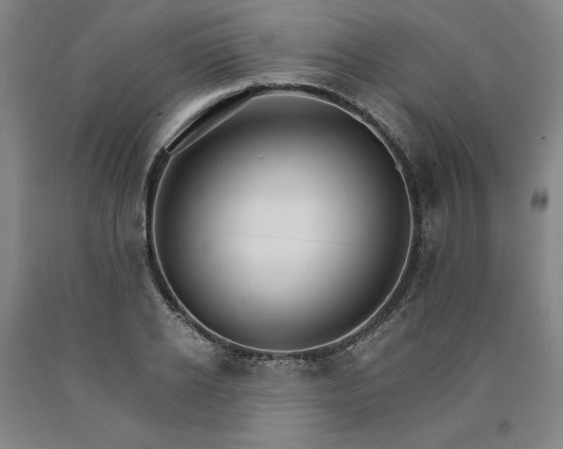 X0000090910934200707301431