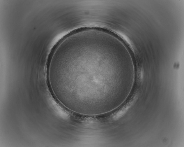 X0000090910935200707301431