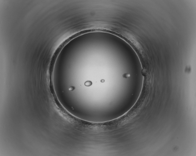 X0000090910936200707301431