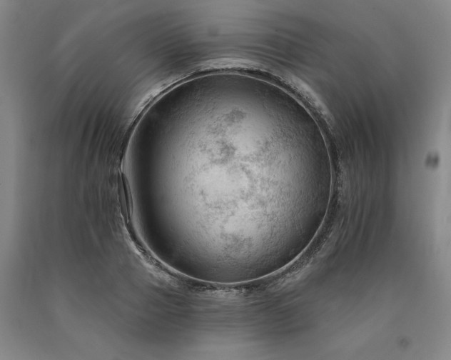 X0000090910937200707301431