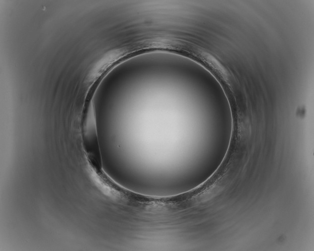 X0000090910938200707301431