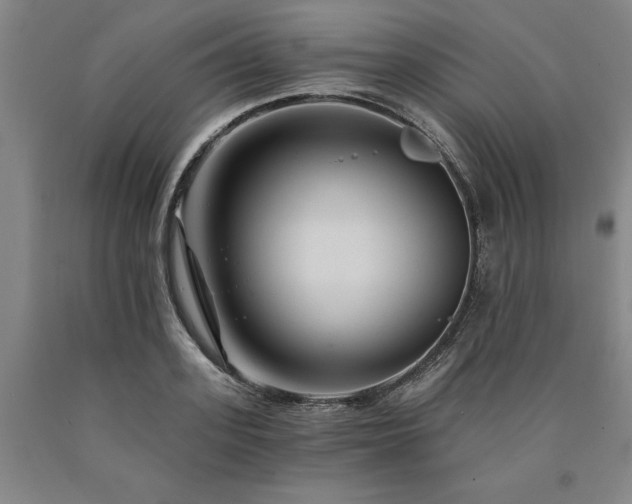 X0000090910939200707301431