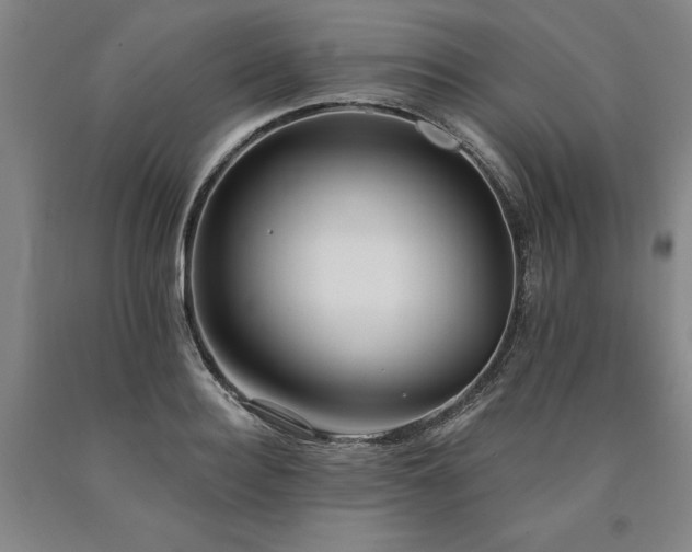 X0000090910940200707301431