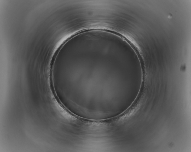 X0000090910941200707301431