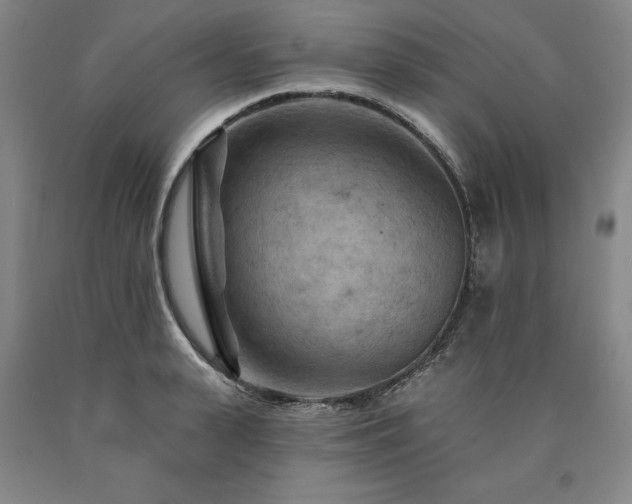 X0000090910943200707301431