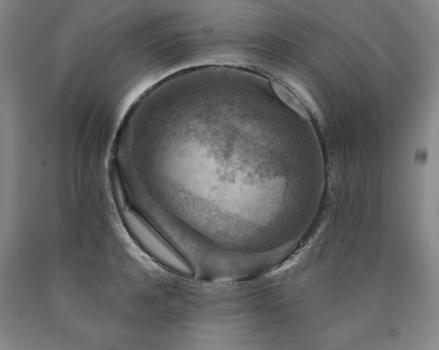 X0000090910944200707301431