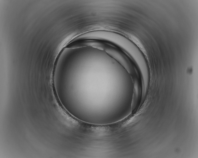 X0000090910946200707301431