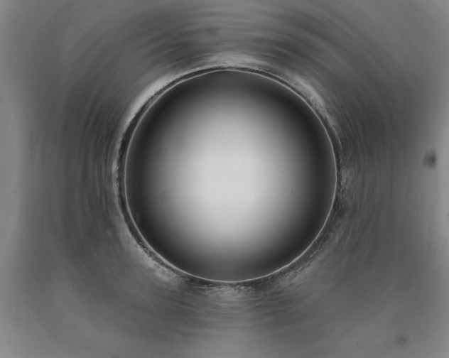 X0000090910947200707301431