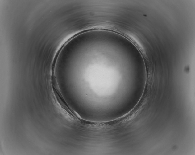 X0000090910948200707301431