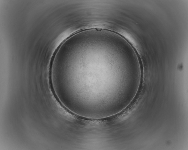 X0000090910949200707301431