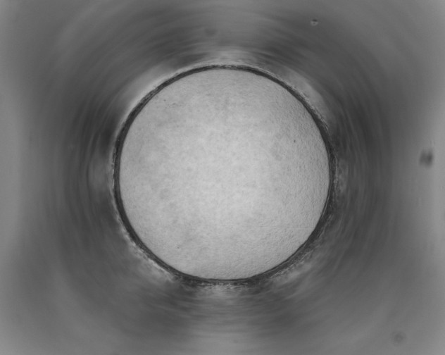 X0000090910950200707301431