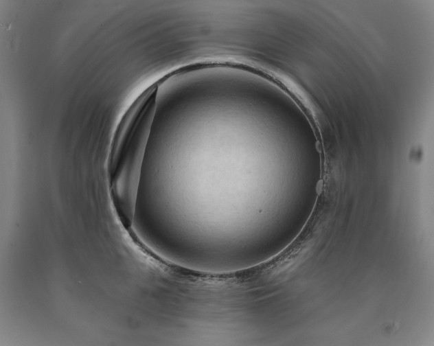 X0000090910951200707301431