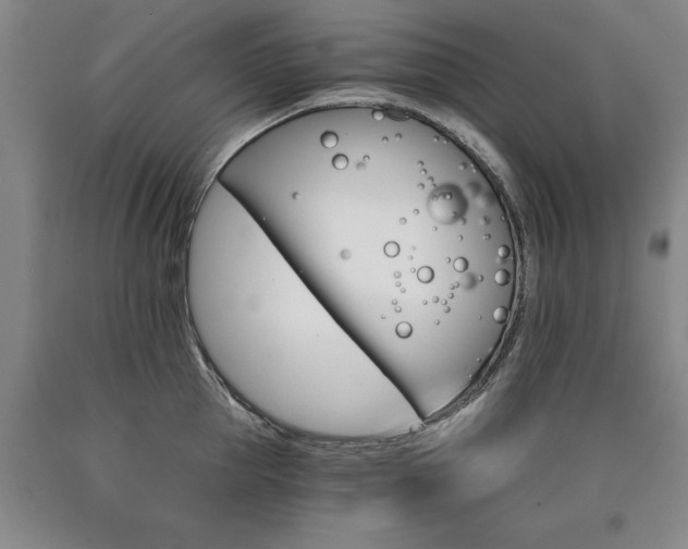 X0000090910953200707301431