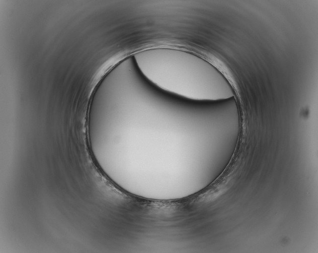 X0000090910954200707301431