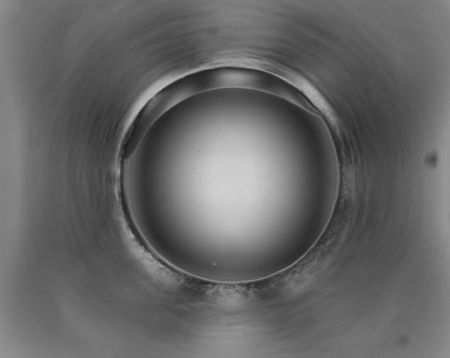 X0000090910955200707301431