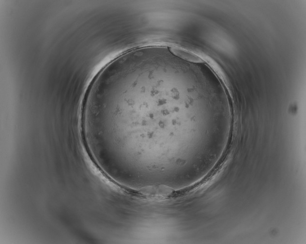 X0000090910957200707301431