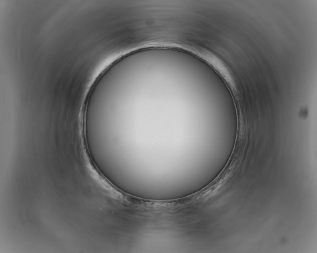 X0000090910958200707301431