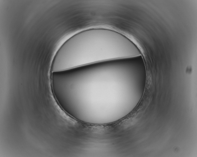 X0000090910959200707301431