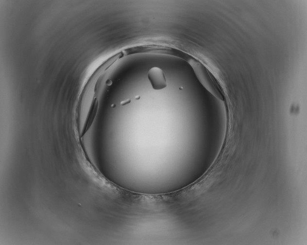 X0000090910960200707301431