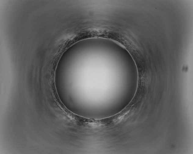 X0000090910961200707301430