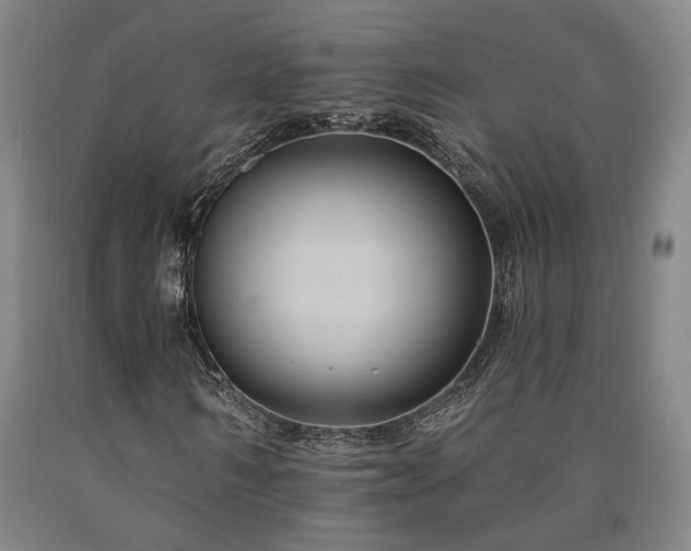 X0000090910962200707301430