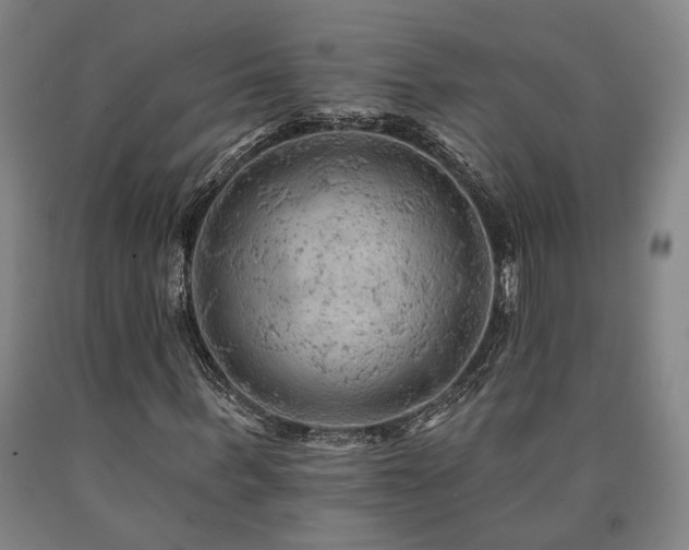 X0000090910963200707301430