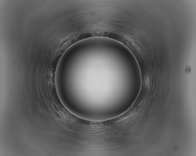 X0000090910964200707301430