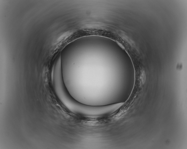 X0000090910965200707301430