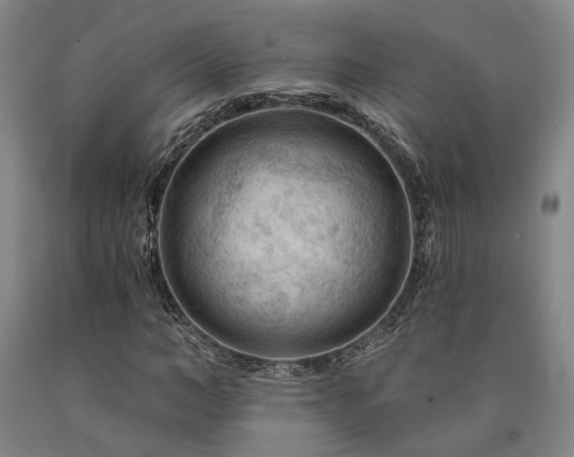 X0000090910966200707301430