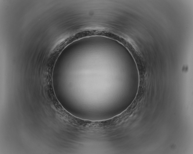 X0000090910967200707301430