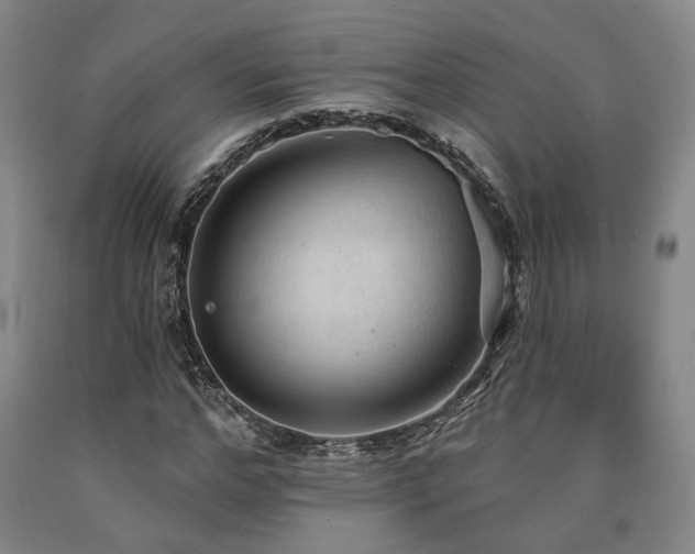 X0000090910968200707301430