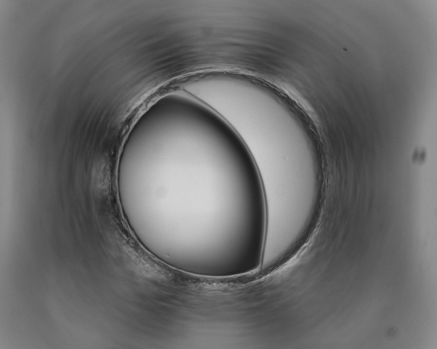 X0000090910969200707301430