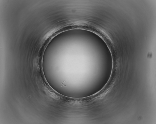 X0000090910970200707301430